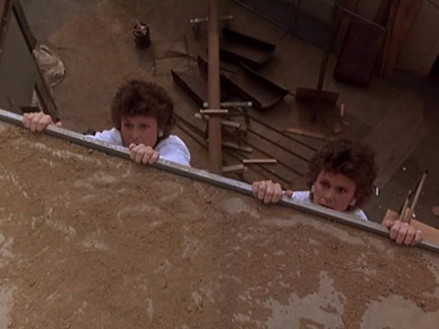 Odds on a Dead Pigeon