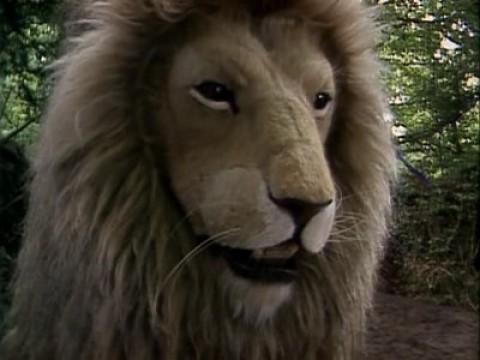 Il Leone, La Strega e L'Armadio (6)