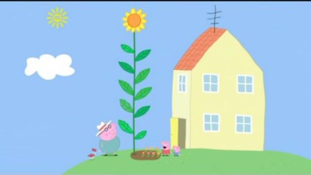 Peppa and George's Garden