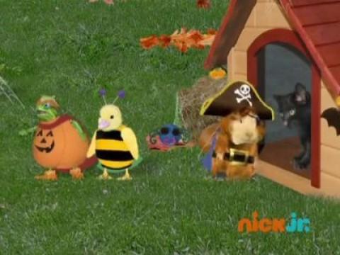 Save the Black Kitten!