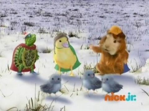 Save the Baby Birds!