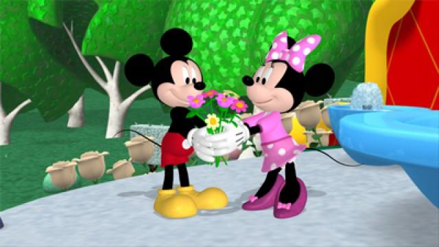 A Surprise for Minnie