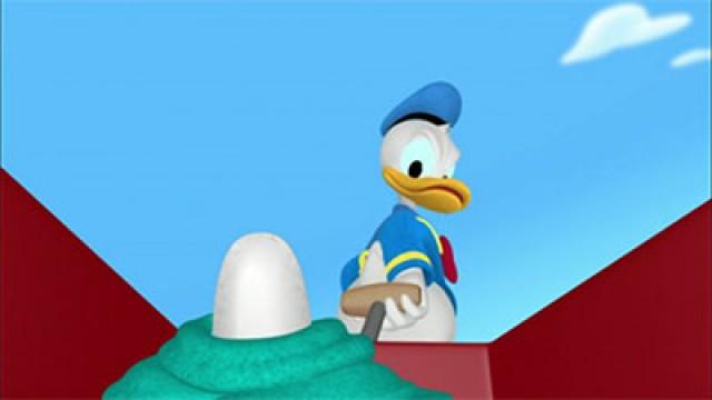 Donald Hatches An Egg