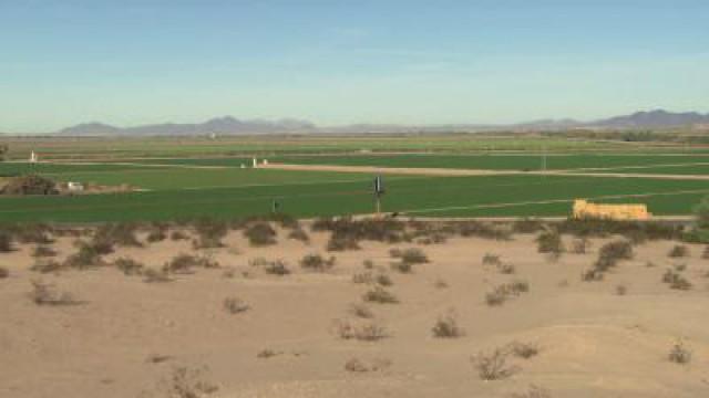 Growing Food in the Desert; Tall Ship Rigging; Insulin