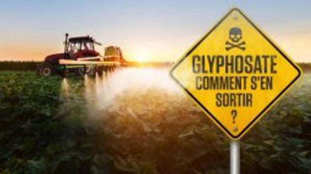 Glyphosate : comment s'en sortir ?