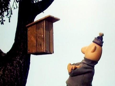 Das Vogelhaus
