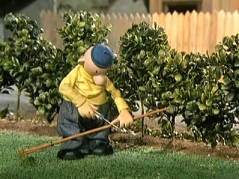 Die Hecke