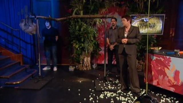 The Animals Strike Back