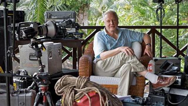 Attenborough's Life Stories: Life on Camera