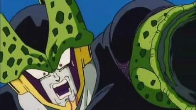 Cell's Break Down