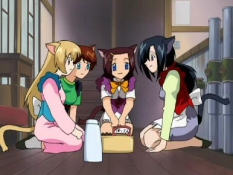 A Vacation for the Catgirl Maids