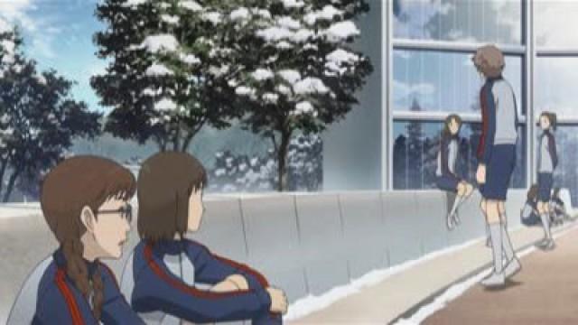 Under the Camphor Tree