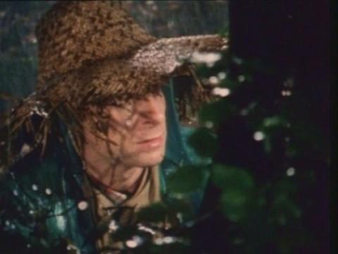 The Pillar with the Cat Sign