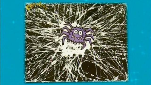 Cobweb Picture