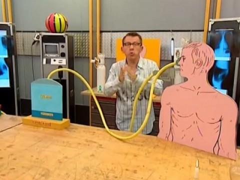 Nos poumons : source d'inspiration