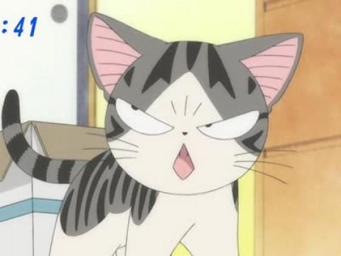 チー、準備する。