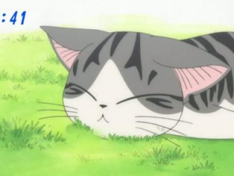 チー、迷子になる。