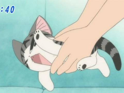 チー、ひどい目にあう。