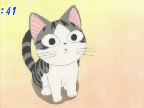 チー、がっかりする。