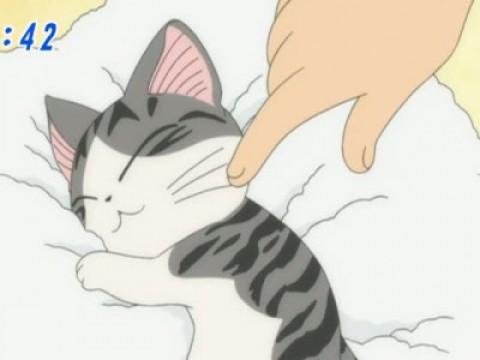 チー、夢を見る。