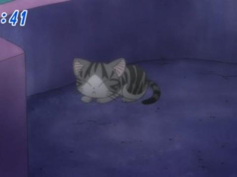 チー、ひとりぼっちになる。