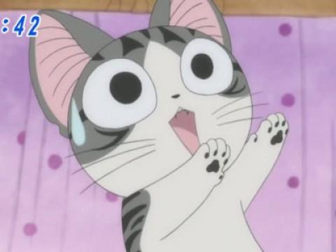 チー、病院に行く。（前編）