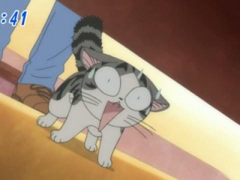 チー、病院に行く。（後編）