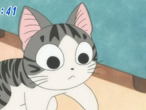 チー、嫌がる。