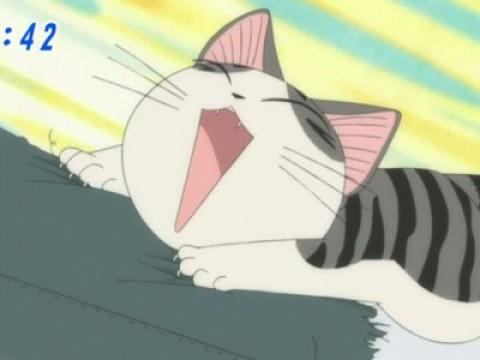 チー、こだわる。