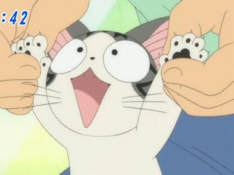 チー、誤解する。