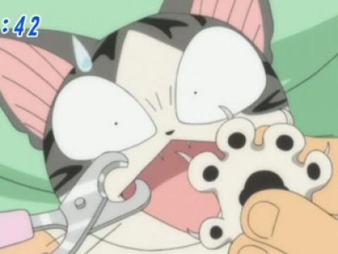 チー、爪を切られる。