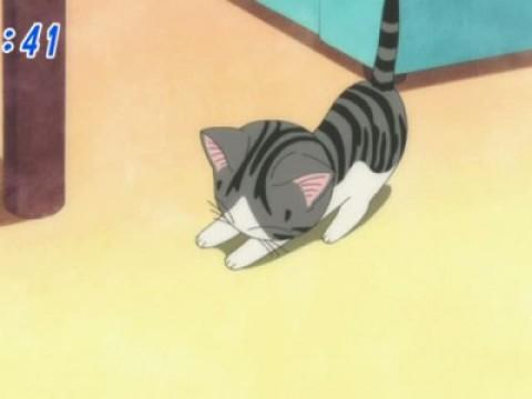 チー、留守番する。（前編）