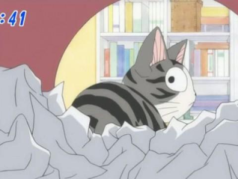 Chi Feigns Ignorance