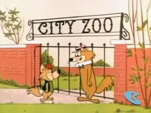 Who's Zoo