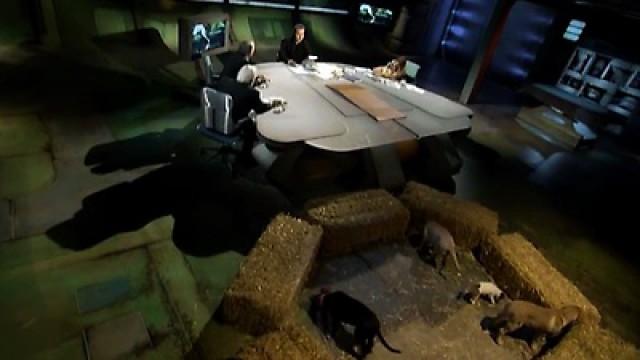 Perros inolvidables - Huaqueros, Ladrones de muerte - Noruega, Tierra de Misterio