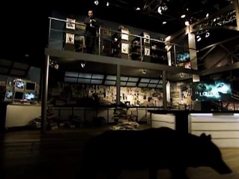 El Lobo: mito y leyenda - El Santo Grial de Valencia - El legado del Titanic