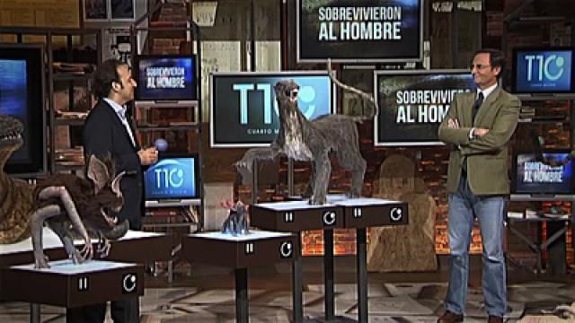 Sobrevivieron al hombre - Los retornados - Los niños índigo