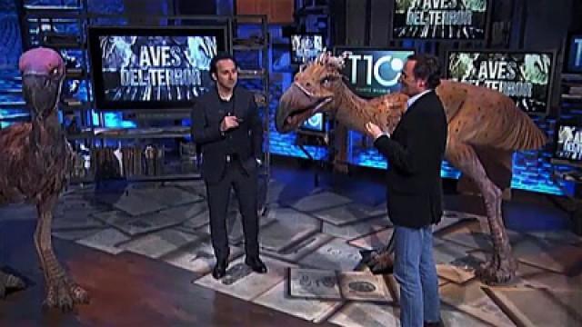 Aves del Terror - El mensaje de tres niños - Los silenciados