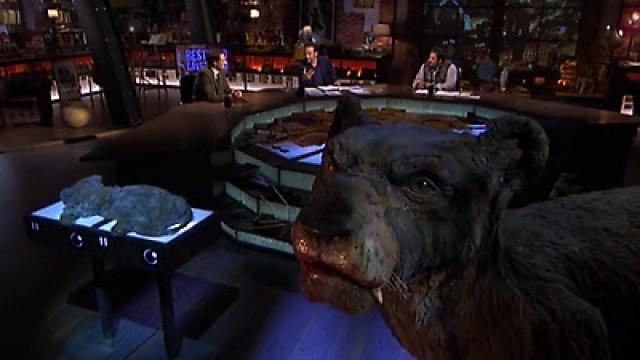 Bestiario cavernario - La polémica del Reiki - La Residencia