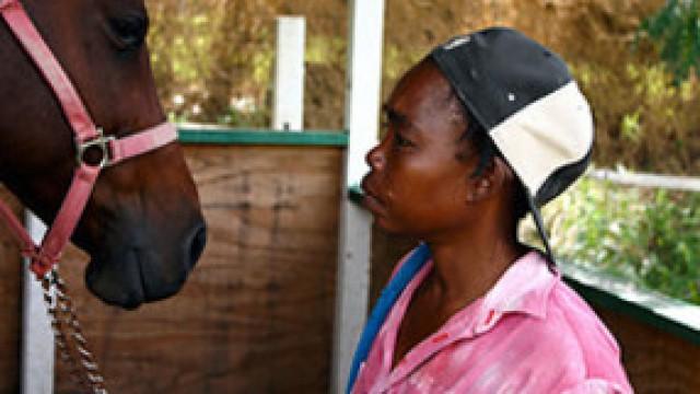 Barbados at the Races: Bajan Born and Bred (1)