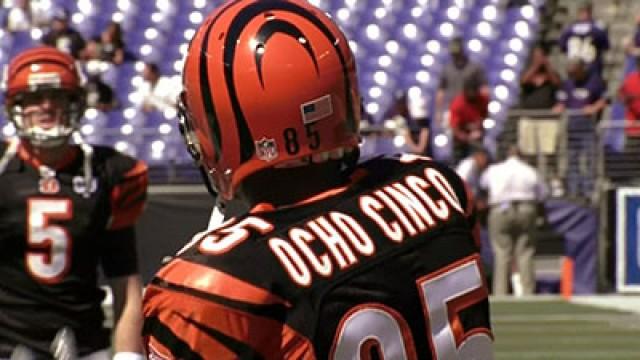 Training Camp with Cincinnati Bengals Week 1