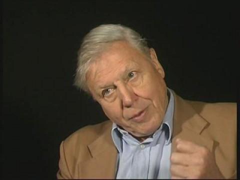 Extra - David Attenborough Interview