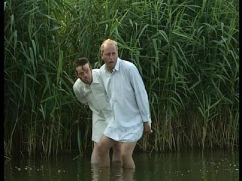 Vogels in het riet