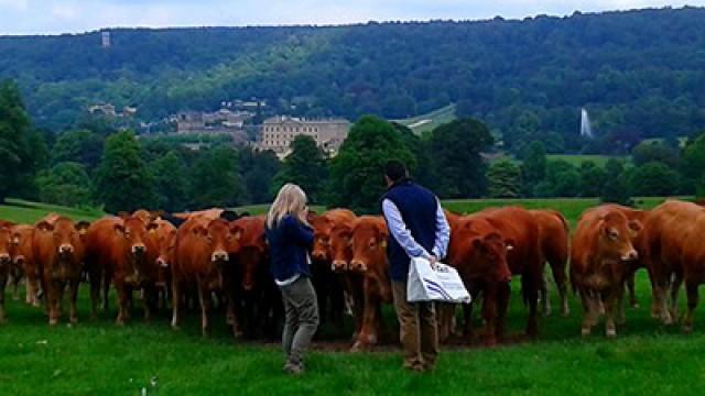 Peak District