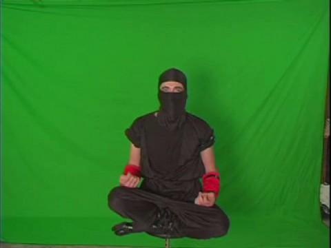 Ninja Gaiden Outtakes