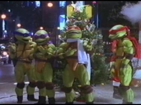 We Wish You A Turtle Christmas