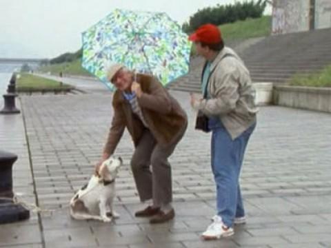 The first Kaisermühlner