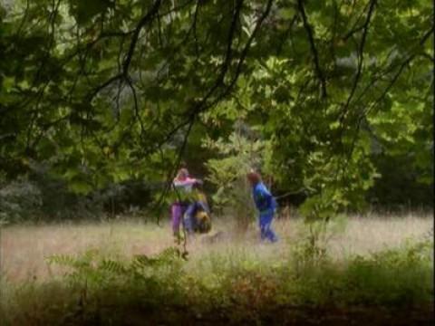 Das Glück ist ein Vogerl