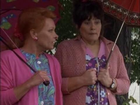 Kein Baum wächst in den Himmel