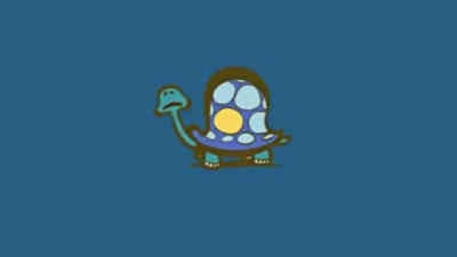 Une tortue qui se fait cambrioler